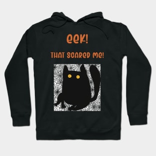 Scared black cat Hoodie